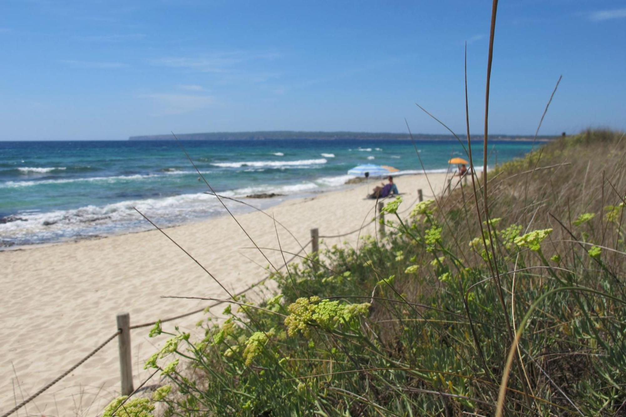 شقة Voga Mari - Astbury Formentera بلايا ميجورن المظهر الخارجي الصورة